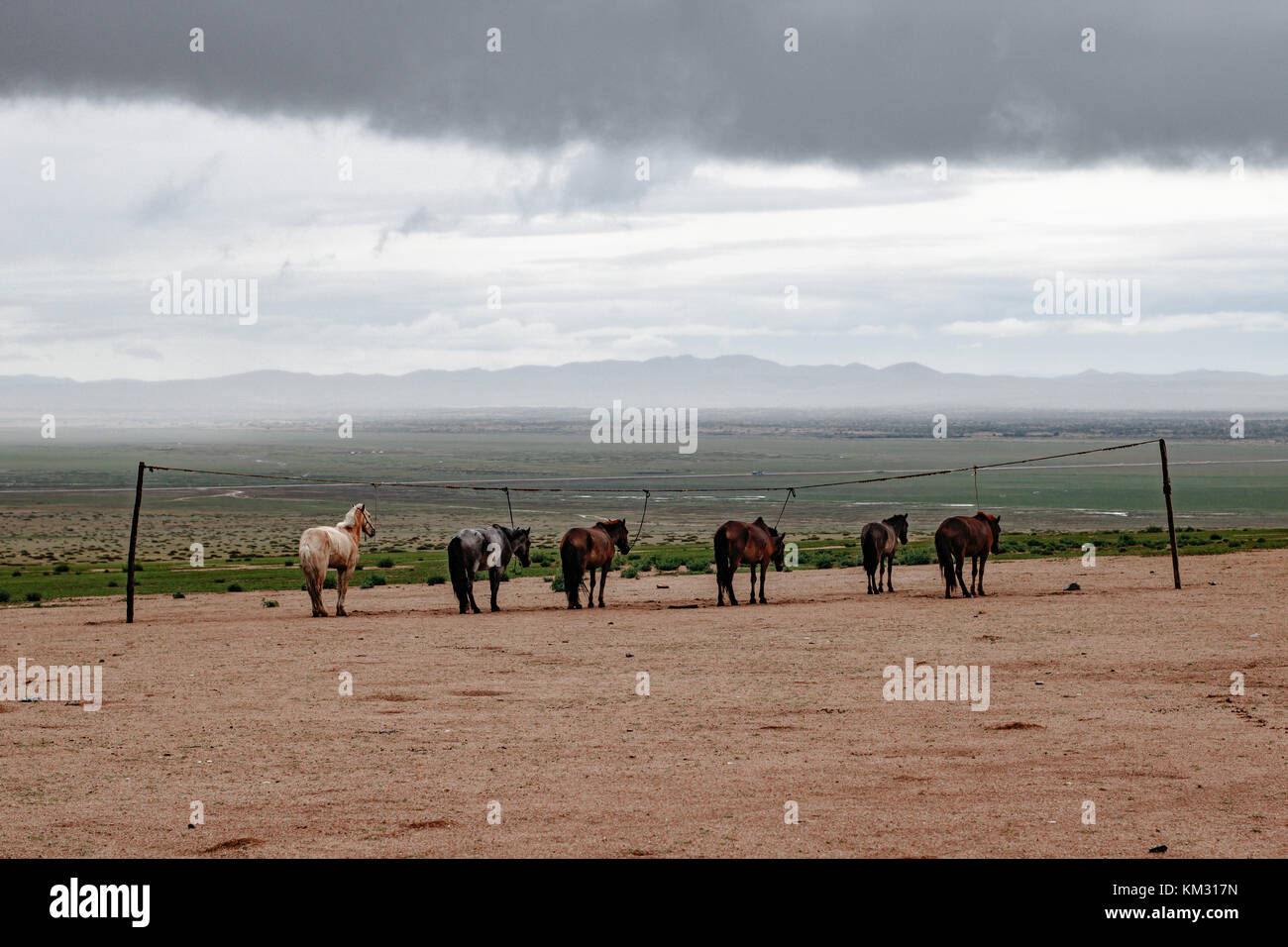 Un campamento de alemania en algún lugar en el centro de Mongolia Foto de stock