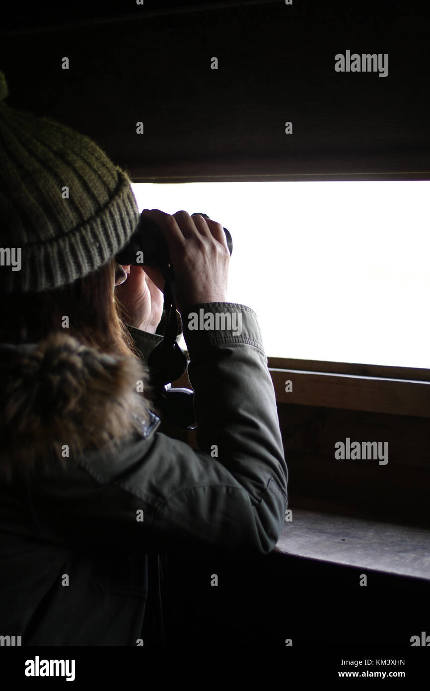 Vista lateral de una mujer, observación de aves, mirando a través de binoculares en un hide.Con un espacio en blanco para su propia escena. Foto de stock