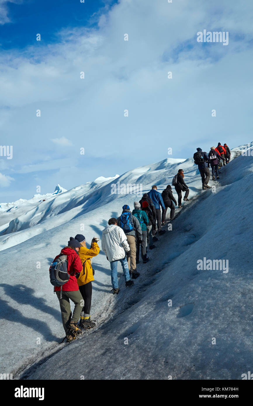 Los excursionistas en el glaciar perito moreno, parque nacional Los Glaciares (Zona patrimonio de la humanidad), Patagonia, Argentina, Sudamérica Foto de stock