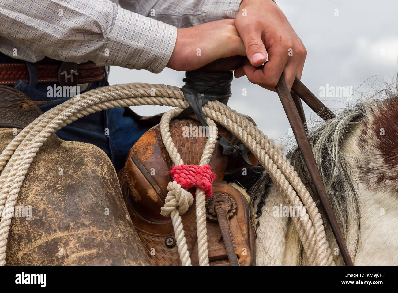 Cowboy a caballo con su cuerda listo para trabajar Foto de stock
