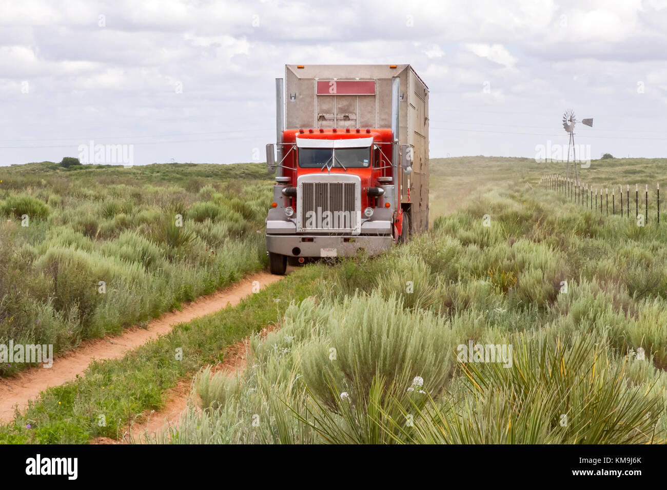 Autopista a través de la pradera de artemisa en el Panhandle de Texas Foto de stock
