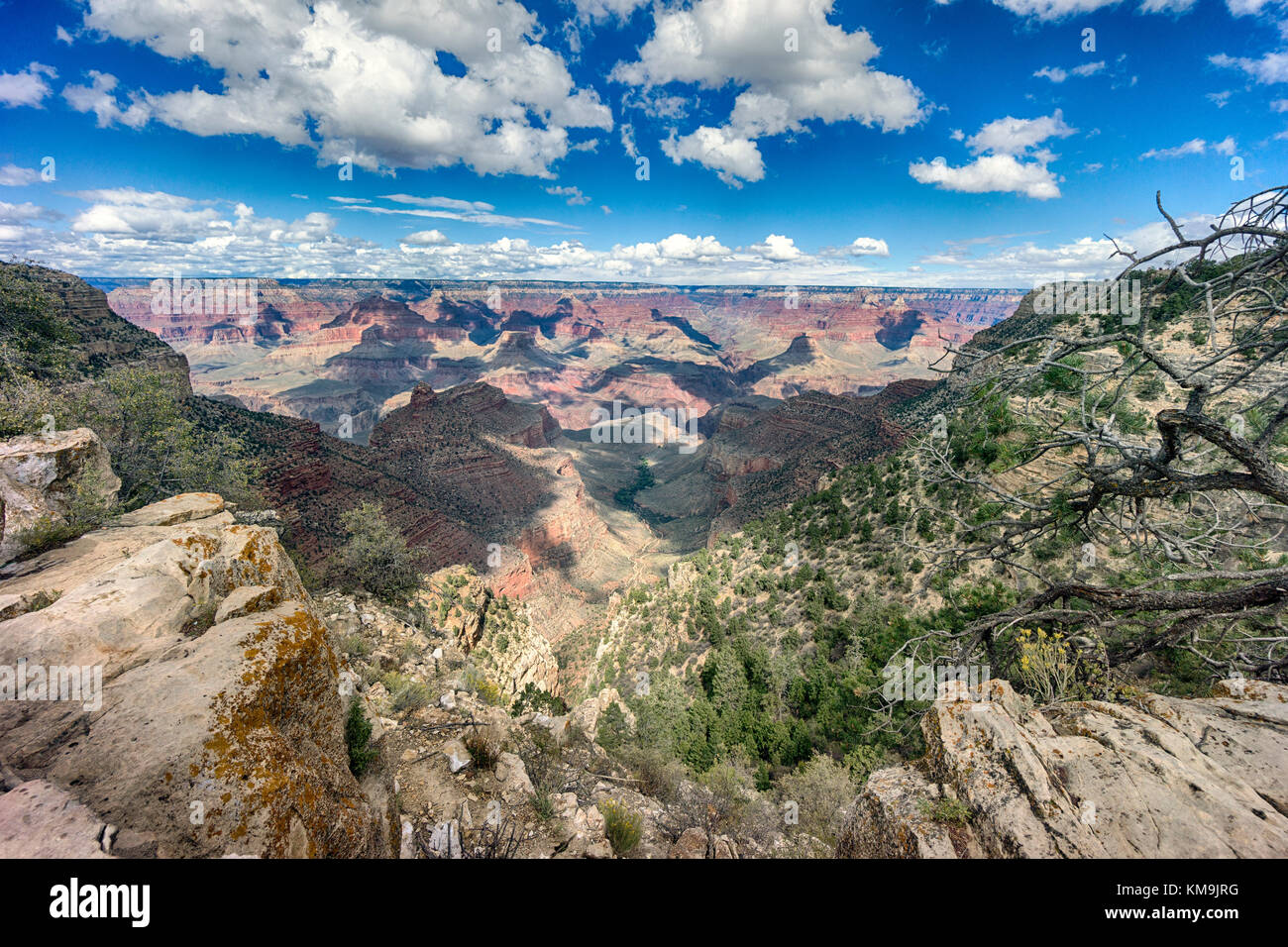 El parque nacional del Gran Cañón con vistas al paisaje de Arizona con el río colorado en la distancia. Bandas de capas de roca roja revelando millones de años de ge Foto de stock