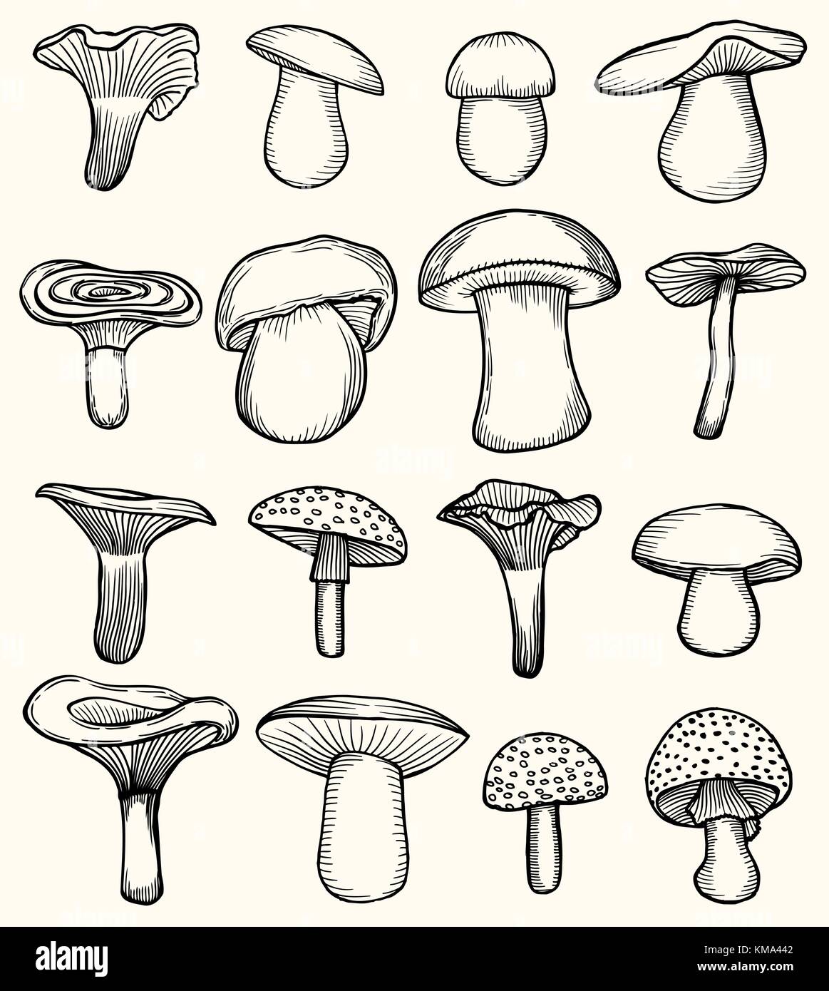 Juego de mushroom ilustración, dibujo, grabado de línea de vector Imagen  Vector de stock - Alamy