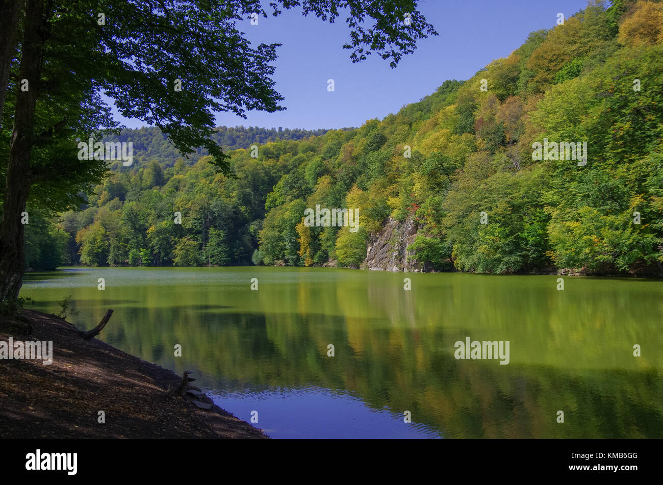 Dilijan national park fotografías e imágenes de alta resolución - Alamy