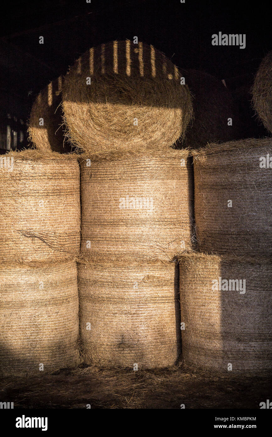 Devon granero con rusty corragated hojas, un granero es un edificio agrícola generalmente en las granjas, las estructuras de almacenamiento de los cereales y forrajes sin trillar, el Foto de stock