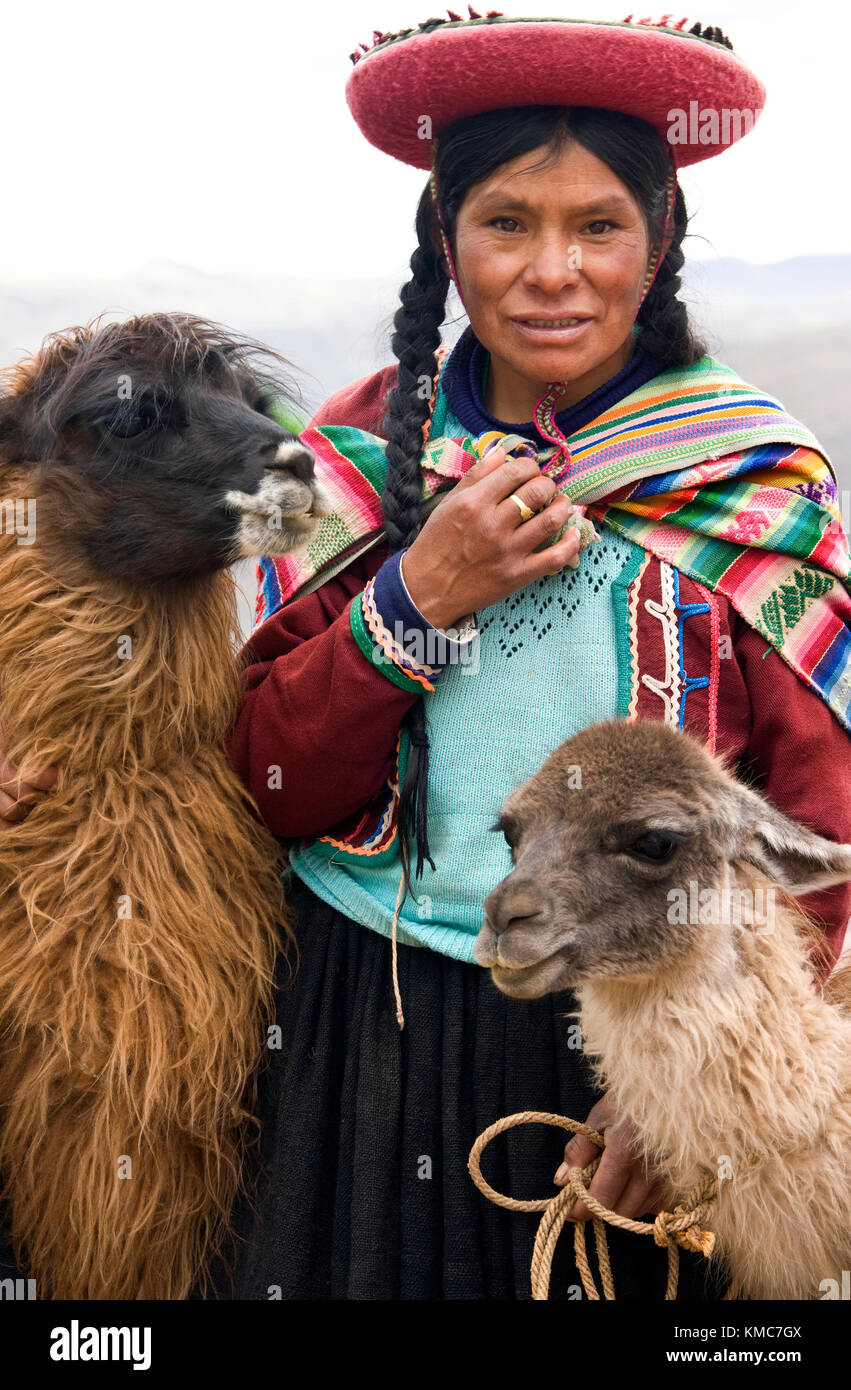 Mujer local en traje tradicional con dos alpaca, cerca de Cuzco, en Perú,  en América del Sur Fotografía de stock - Alamy