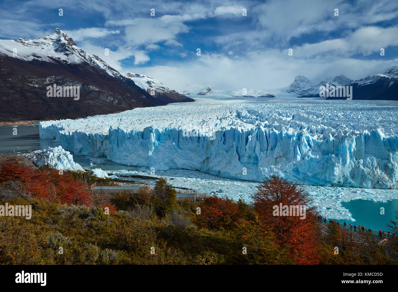 Glaciar Perito Moreno, bosque de lengas en otoño, y los turistas de paseo, parque nacional Los Glaciares (Zona patrimonio de la humanidad), Patagonia, Argentina, sout Foto de stock