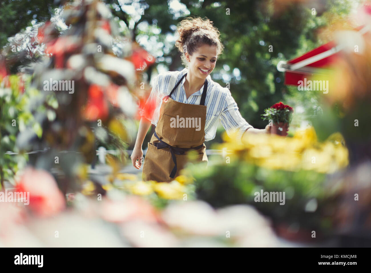 Floristería femenina sonriente arreglando la exhibición en el escaparate soleado Foto de stock