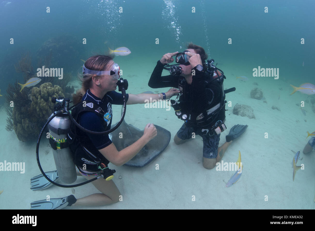 Los buceadores realizar borrado máscara habilidades en las aguas poco profundas de Stingray City, Gran Caimán Foto de stock