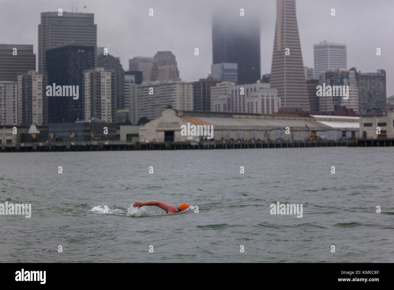 Miembro de Dolphin Club nadando en Bay Bridge, San Francisco, California, Estados Unidos Foto de stock