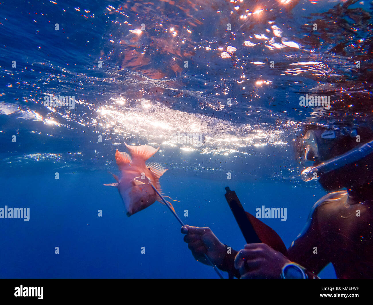 Pesca submarina fotografías e imágenes de alta resolución - Alamy