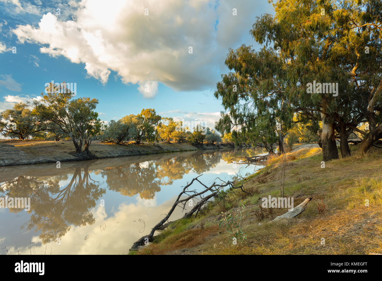 Río Darling al amanecer cerca de Bourke en outback norte oeste de Nueva Gales del Sur en Australia. Foto de stock