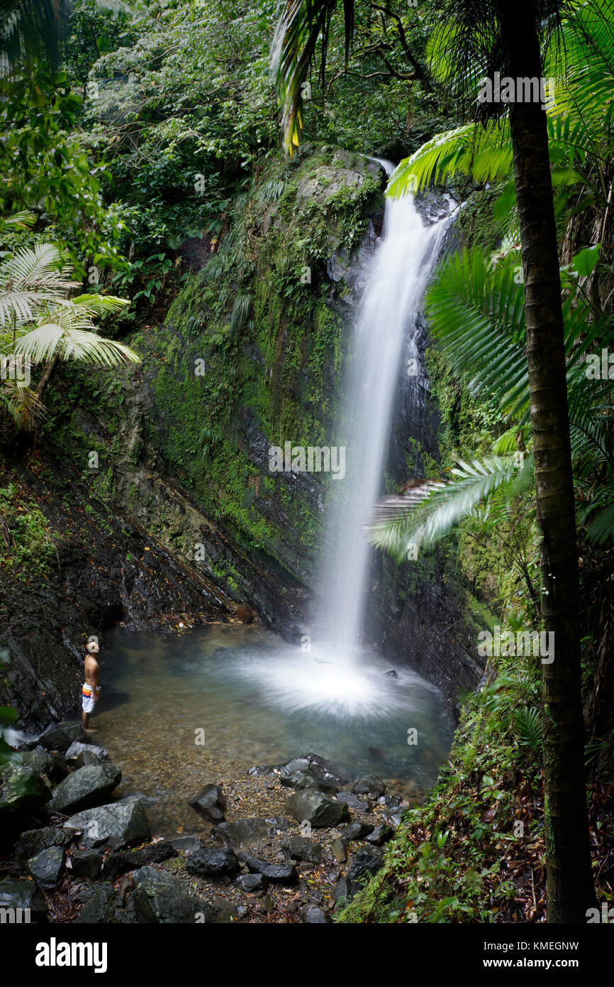 Selva tropical el yunque fotografías e imágenes de alta resolución - Alamy