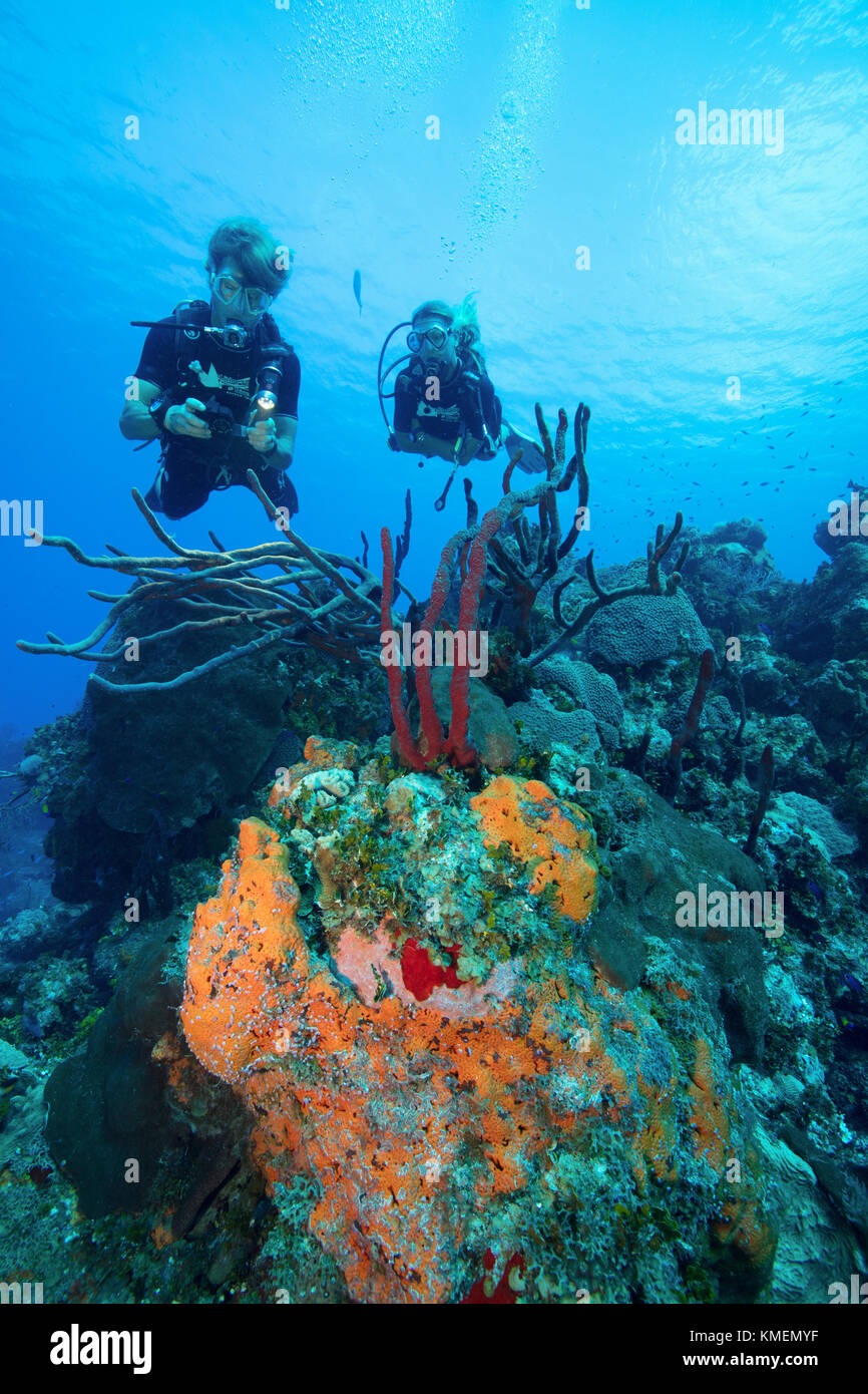 Los submarinistas exploran un arrecife en Gran Caimán. Foto de stock