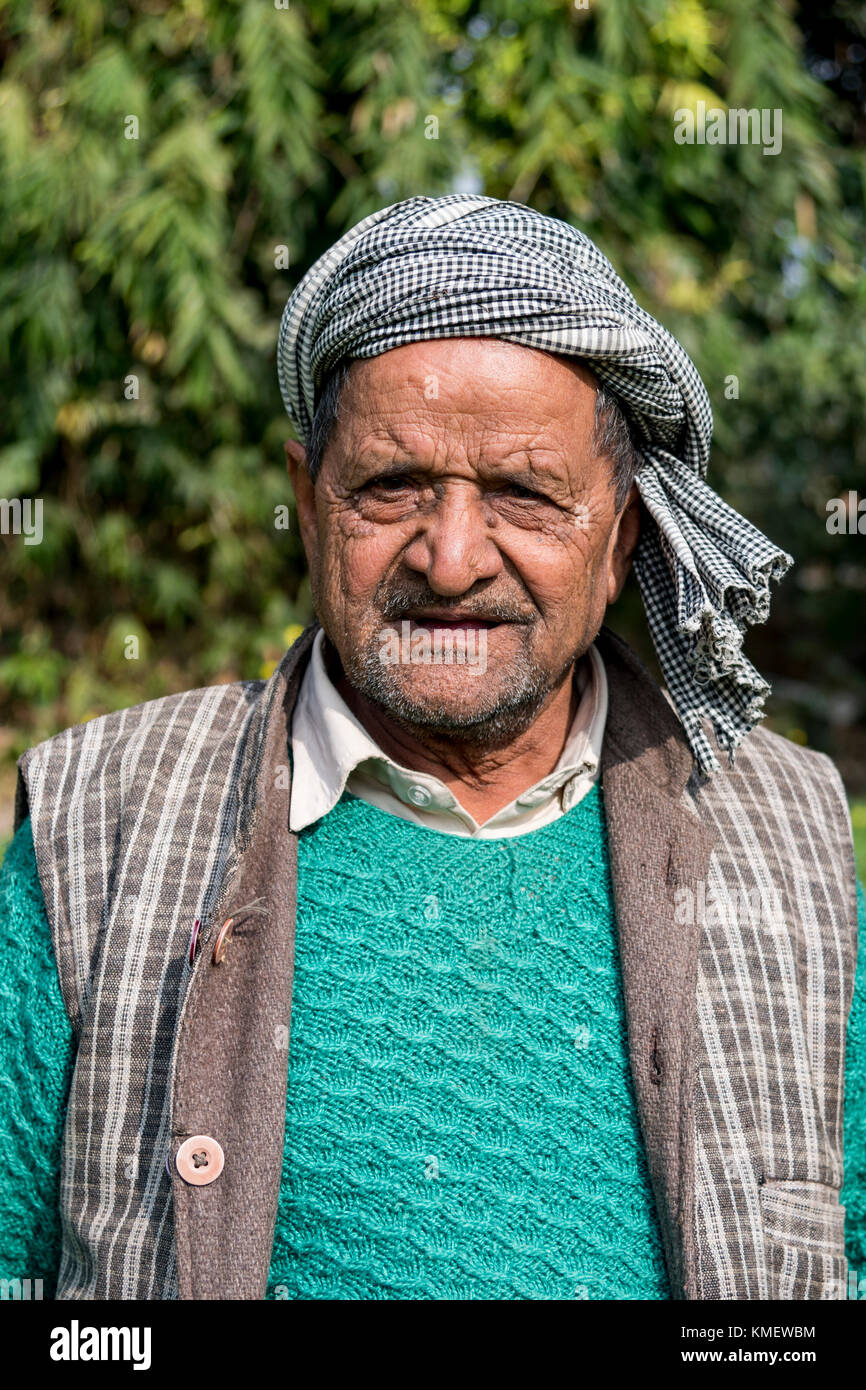 Retrato de un viejo agricultor indio en sus tierras de cultivo