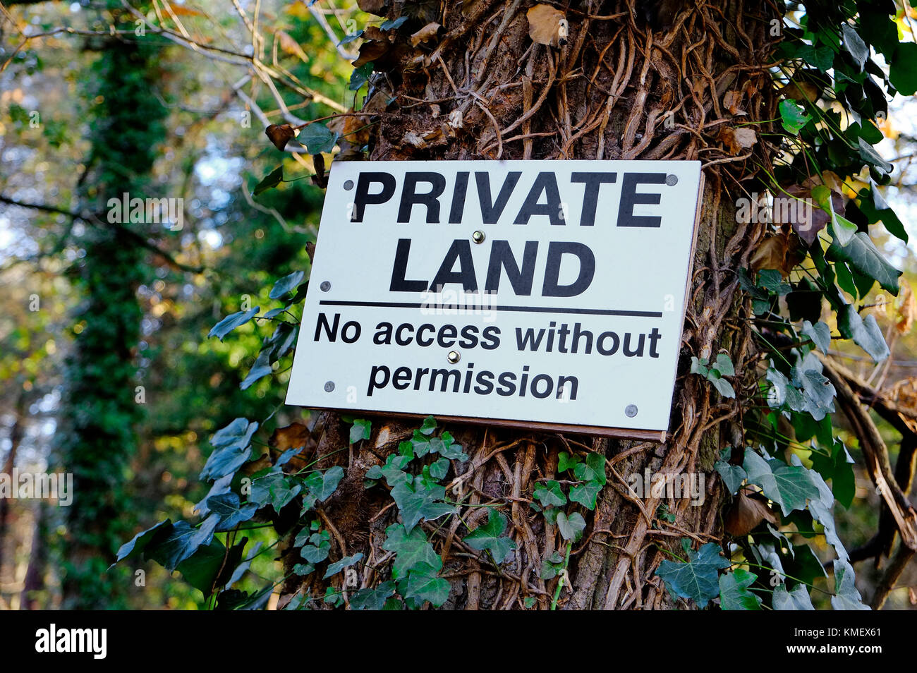 Signo fijo de tierras privadas al viejo tronco de árbol, Norfolk, Inglaterra Foto de stock