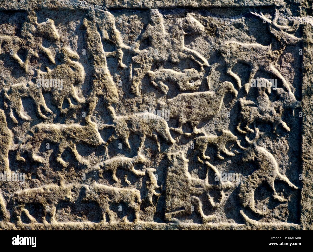 Animales de Caza en escenas talladas Pictish Celta símbolo cristiano piedra en Shandwick, Easter Ross, Región de tierras altas, Escocia Foto de stock