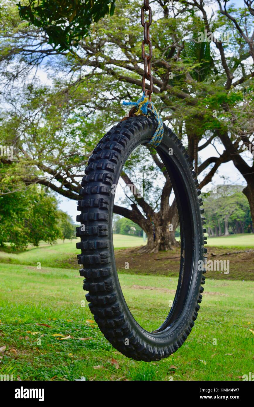 Neumáticos de moto childs columpio colgado de un árbol en un parque  forestal, Townsville, Queensland, Australia Fotografía de stock - Alamy