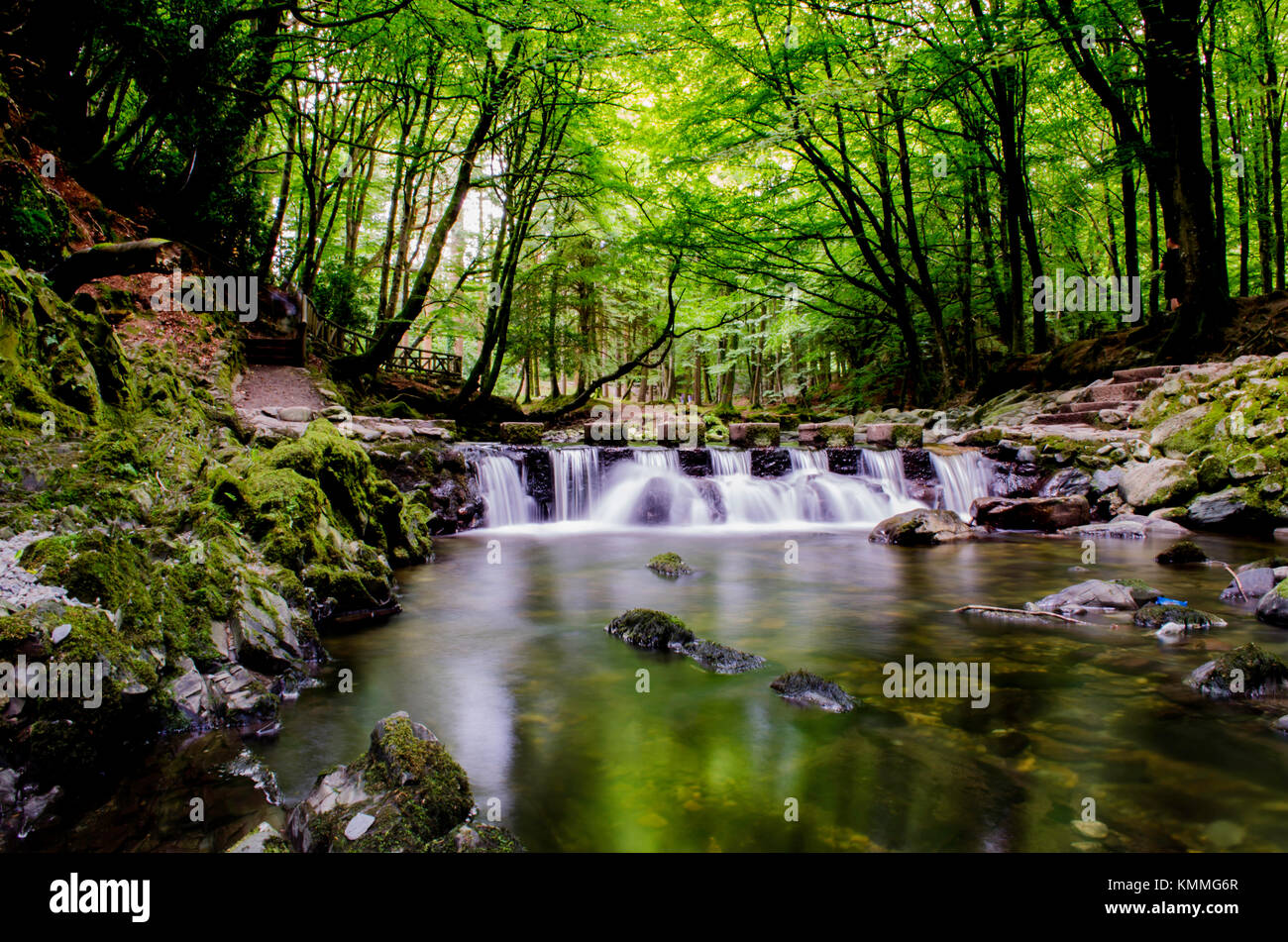 Parque Forestal Tollymore Stepping Stones, una ubicación utilizada por la famosa serie de televisión 'Juego de Tronos' Foto de stock