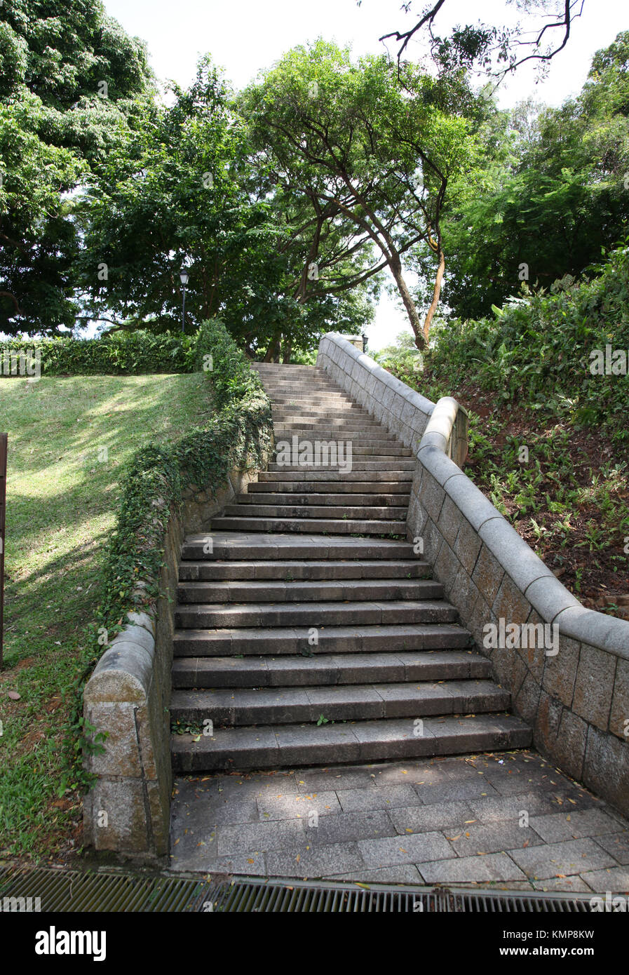 Escaleras de piedra subiendo en un parque o jardín Singapur Foto de stock