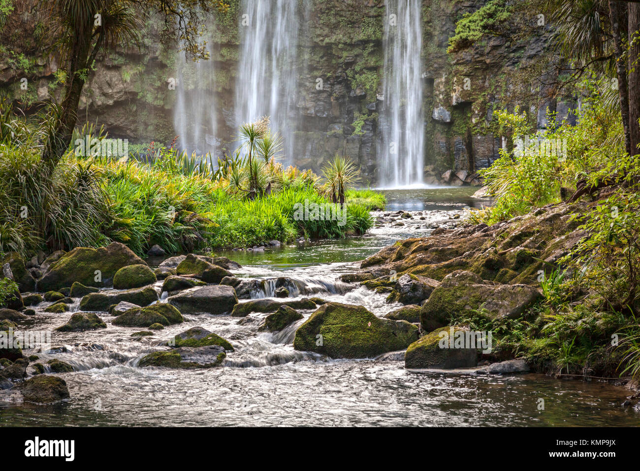 El Río Hatea debajo de las cataratas en Whangarei en Northland, Nueva Zelanda. Foto de stock