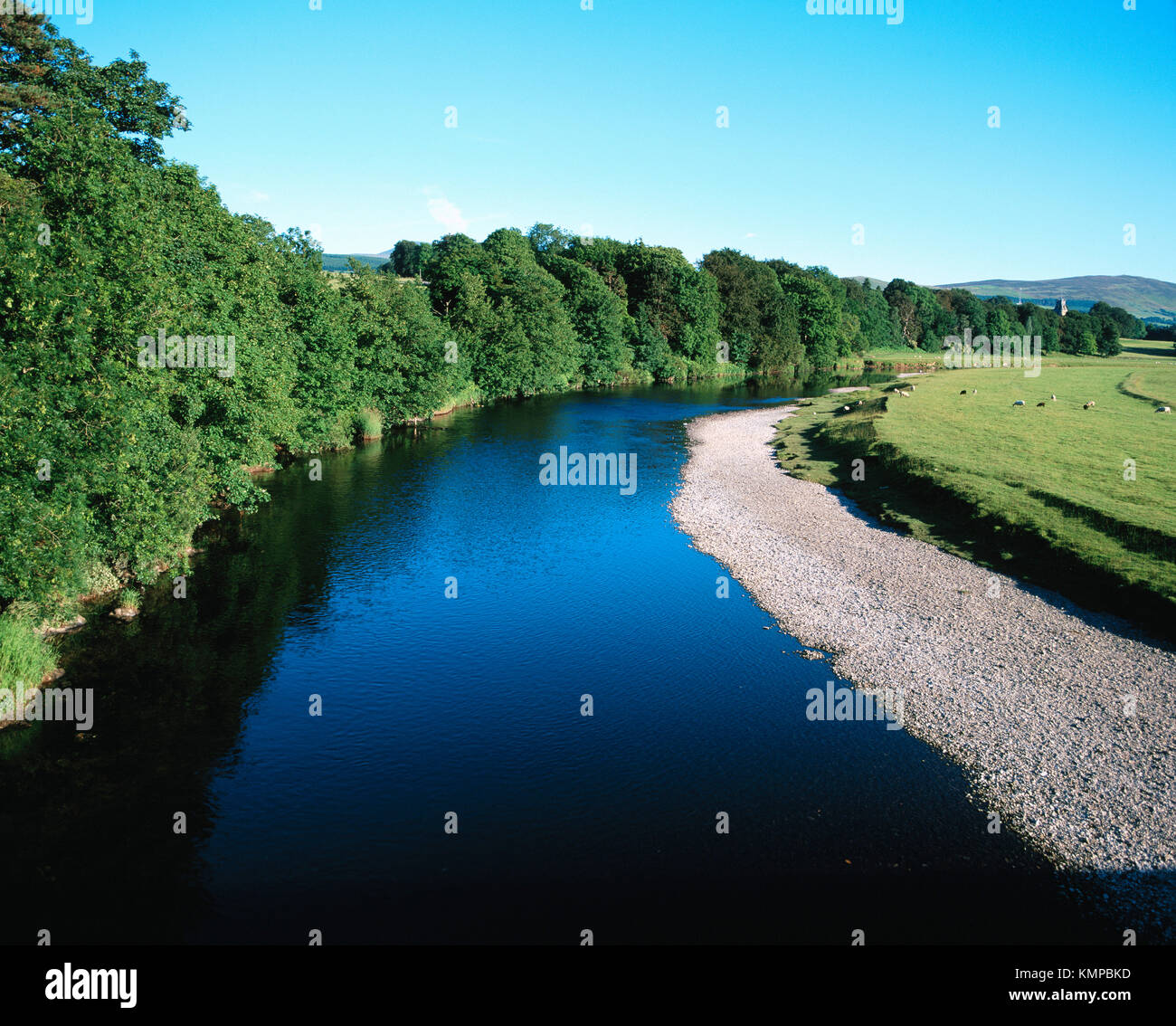 Río Clyde, cerca de Biggar. South Lanarkshire. Escocia Foto de stock