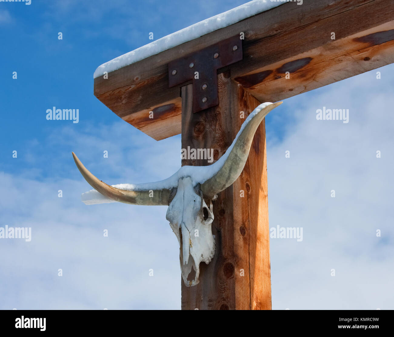 La nieve fresca en la puerta del Rancho Texas Longhon cráneo Foto de stock