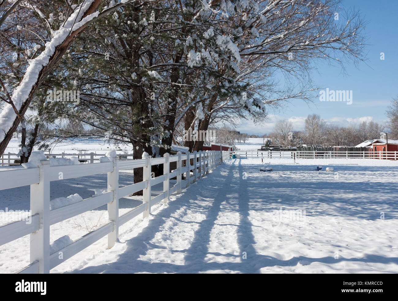Hermosa caída de nieve en una granja de caballos de Colorado con una cerca blanca Foto de stock