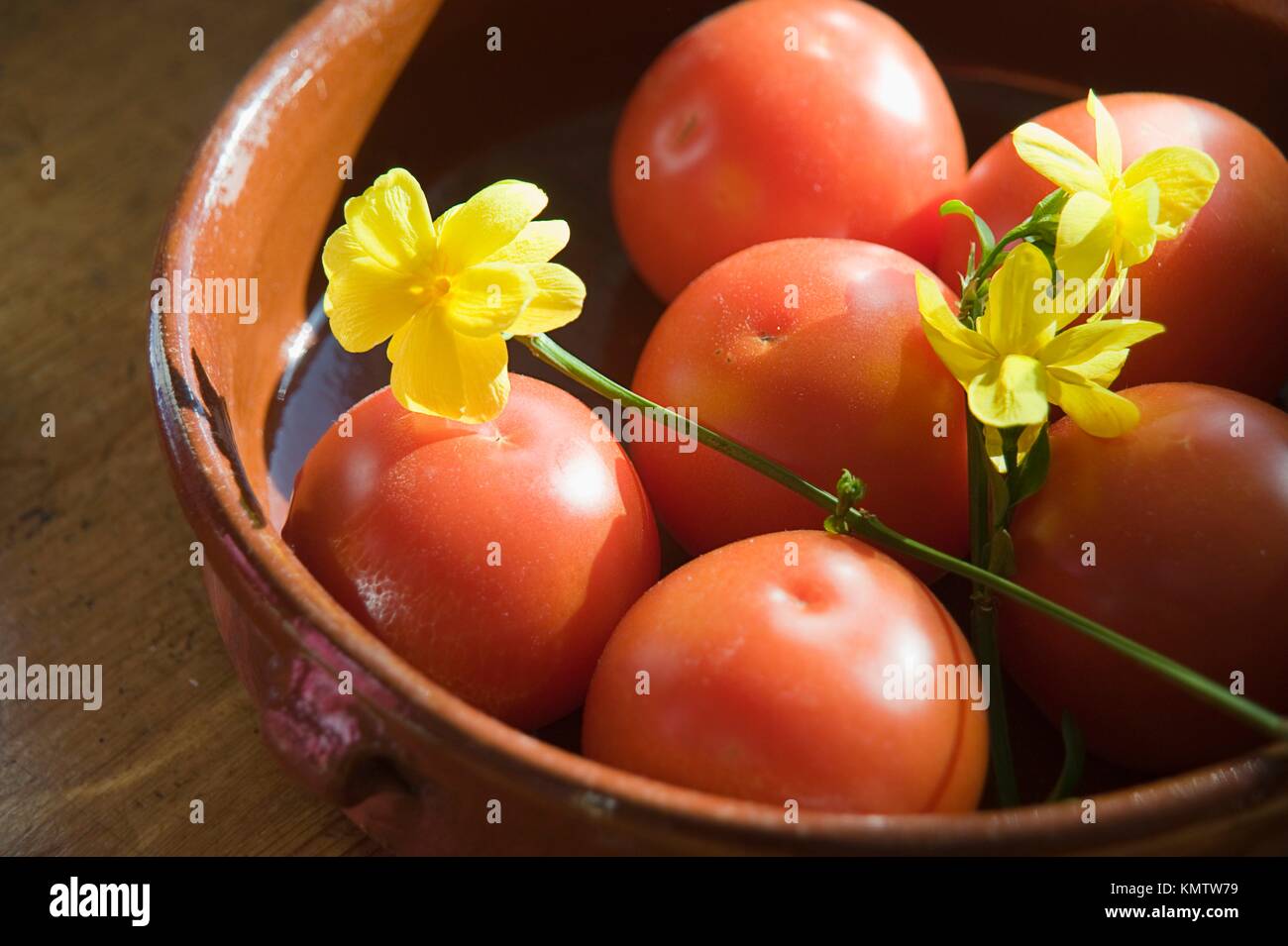 Tomates orgánicos Foto de stock