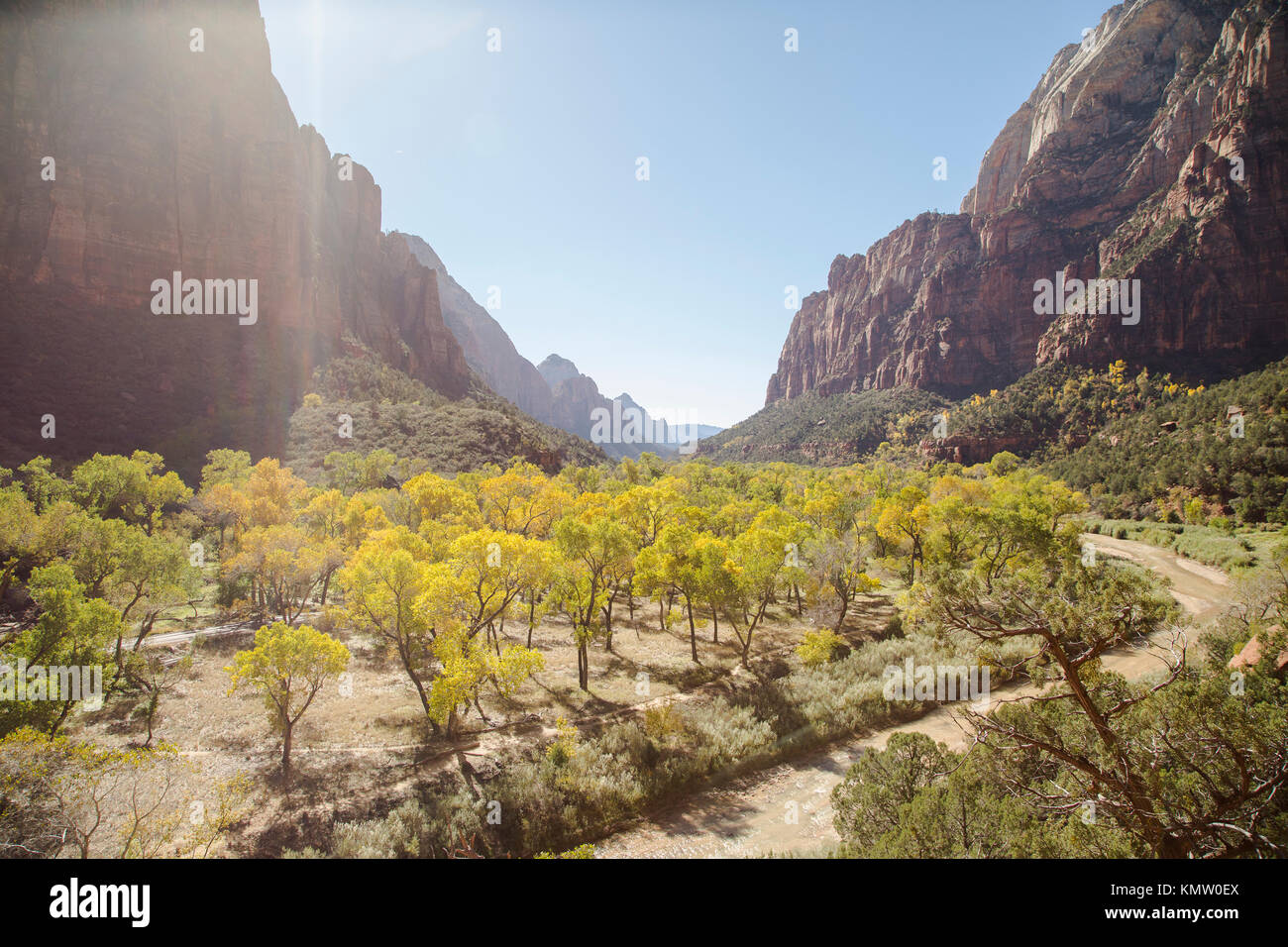 Una vista del Cañón de Zion y el Virgin River en el Parque Nacional Zion en Utah en el otoño. Foto de stock