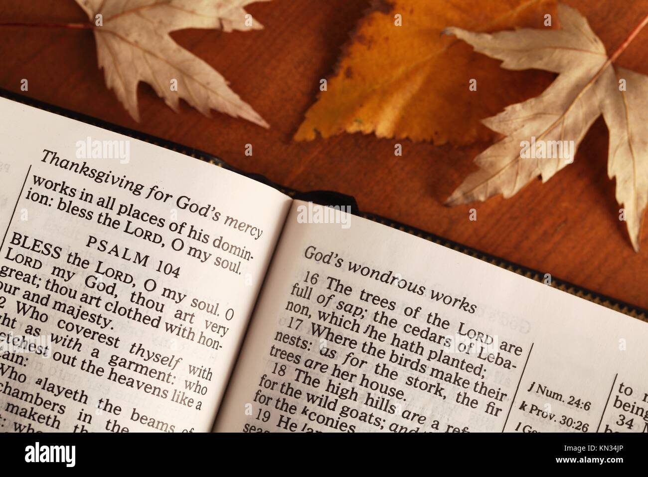 Hoja De La Biblia Fotos e Imágenes de stock Alamy