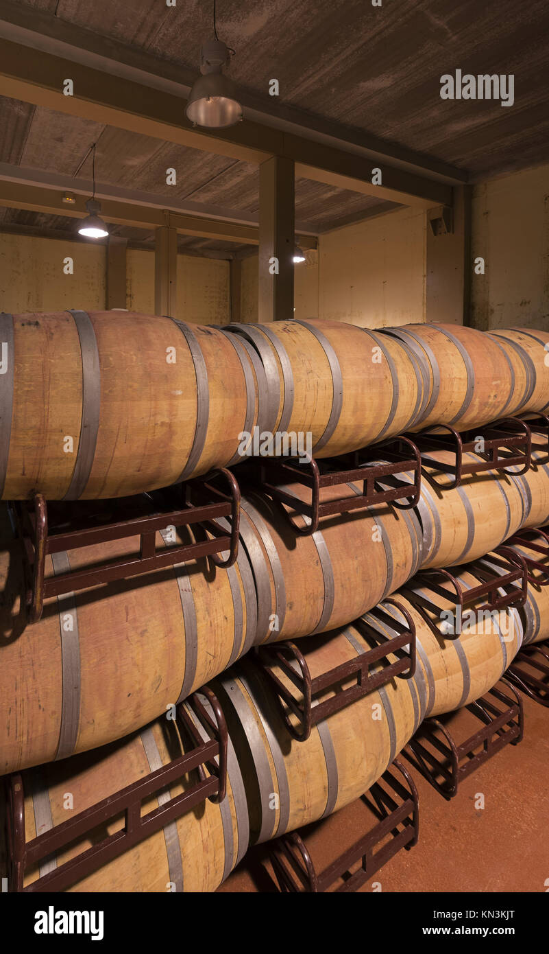 Barriles de vino en una bodega. Castilla-La Mancha, Spain Foto de stock