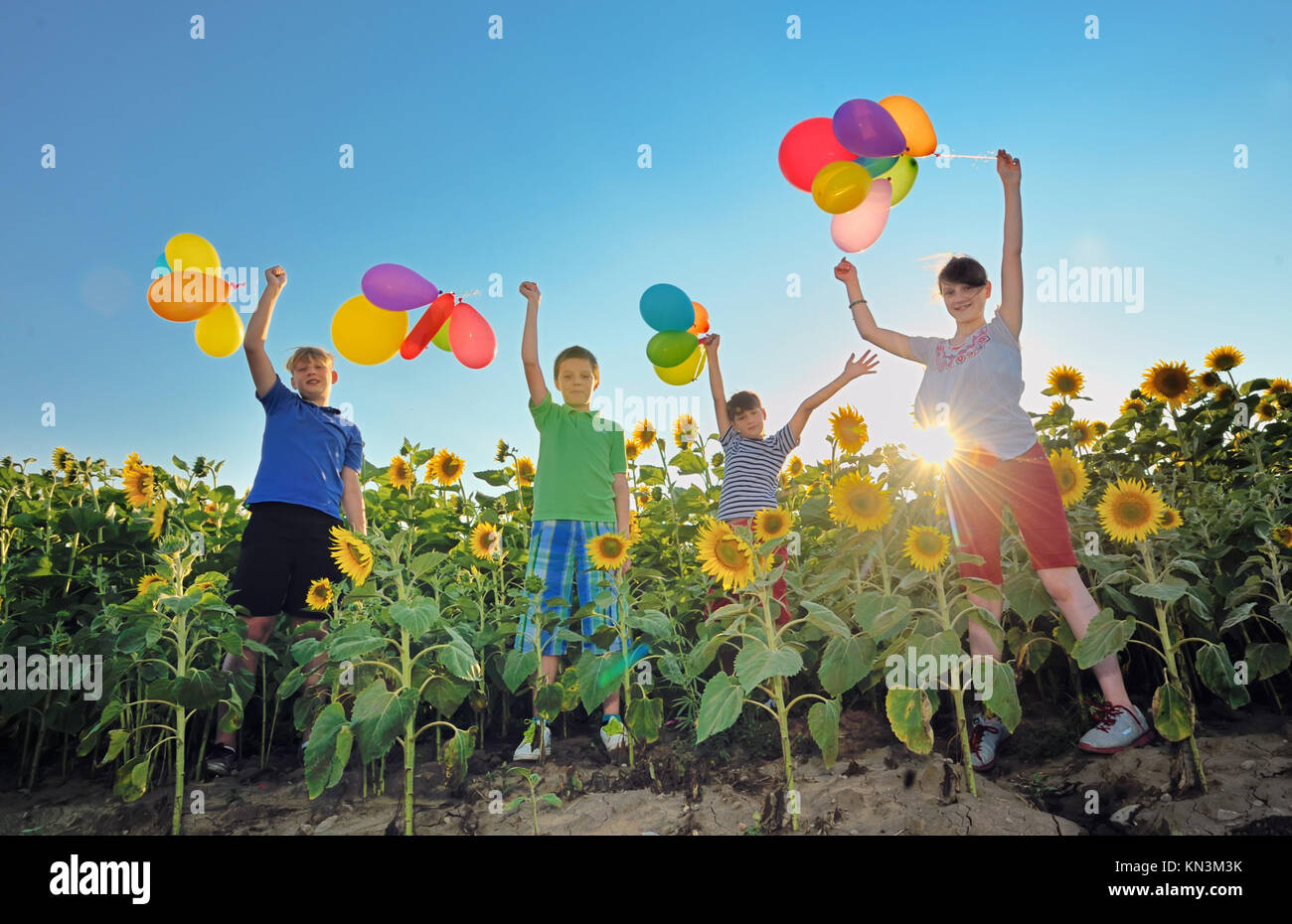 Los niños felices con globos de colores saltando en un campo de girasoles  Fotografía de stock - Alamy