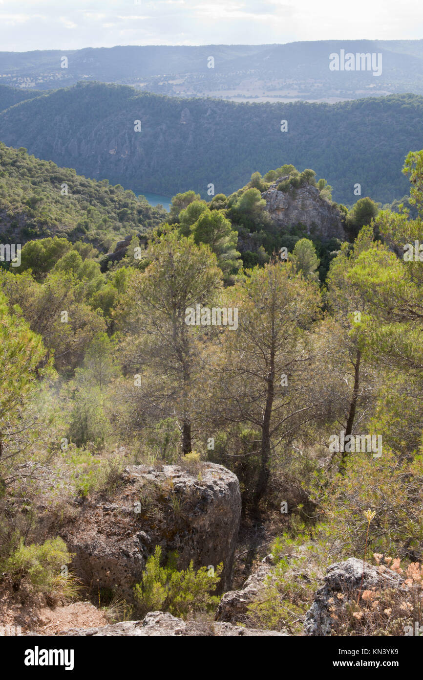 Espectaculares paisajes de presas y los bosques de la Alcarria, Guadalajara, España. Foto de stock