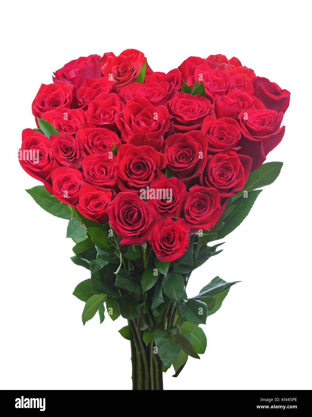 Bouquet de rosas rojas en forma de corazón aislado sobre fondo blanco.  Closeup Fotografía de stock - Alamy