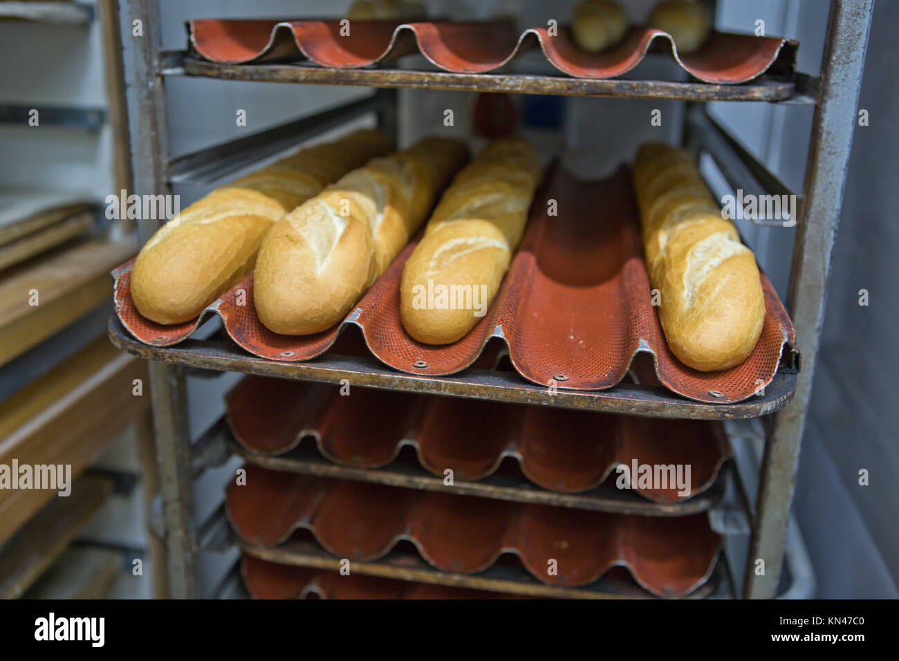 Filas de pan de baguette panes en racks en una panadería. Foto de stock