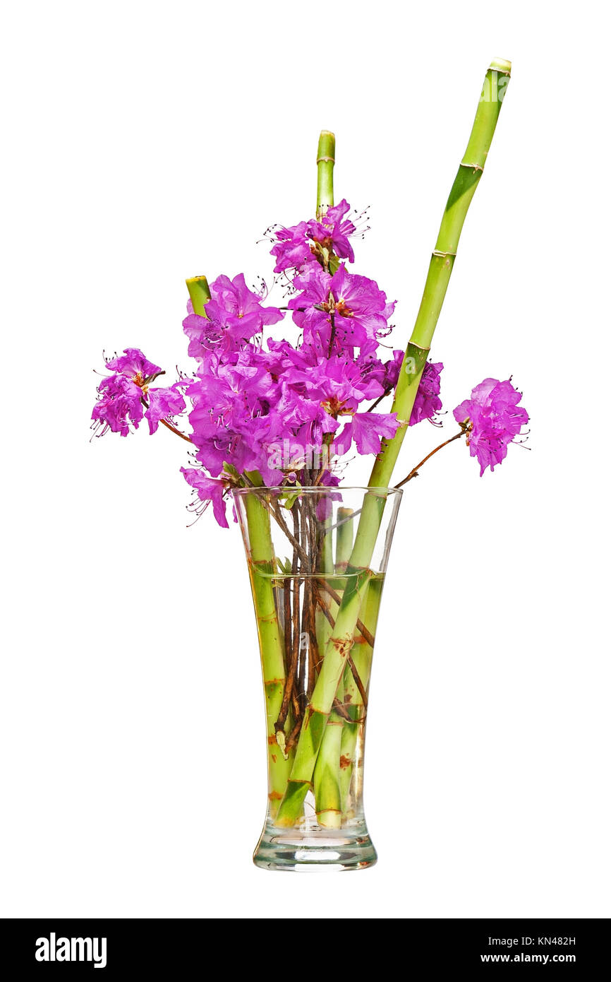 Arreglo de flores de bambú fotografías e imágenes de alta resolución - Alamy