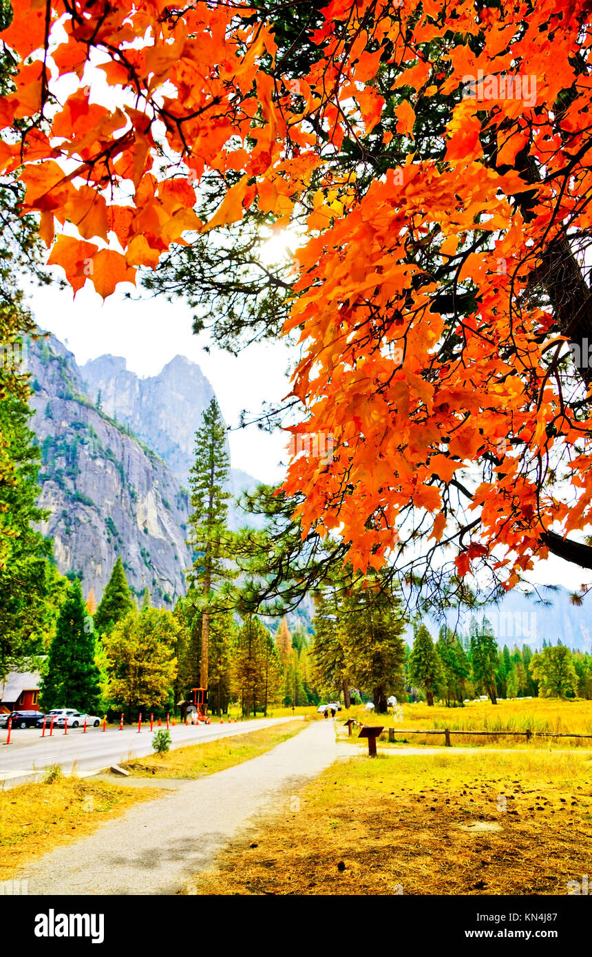 Vista del valle de Yosemite en el Parque Nacional Yosemite en otoño. Foto de stock