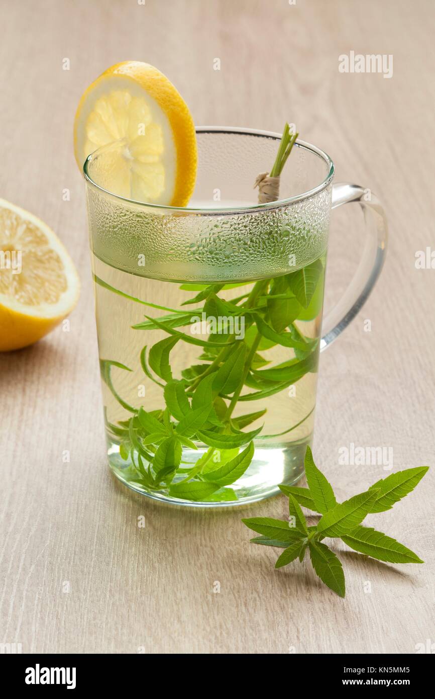 Lemon verbena tea fotografías e imágenes de alta resolución - Alamy