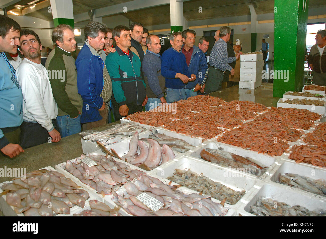 Subasta de pescado - compradores, puerto pesquero del barrio de Bonanza, Sanlúcar de Barrameda, provincia de Cádiz, región de Andalucía, España, Europa Foto de stock