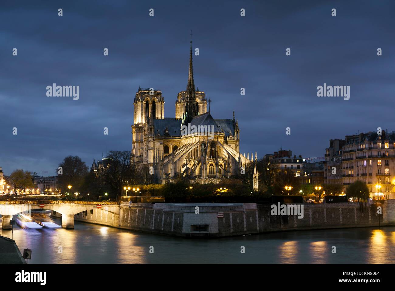 La Catedral de Notre Dame, París, Ile de France, Francia. Foto de stock