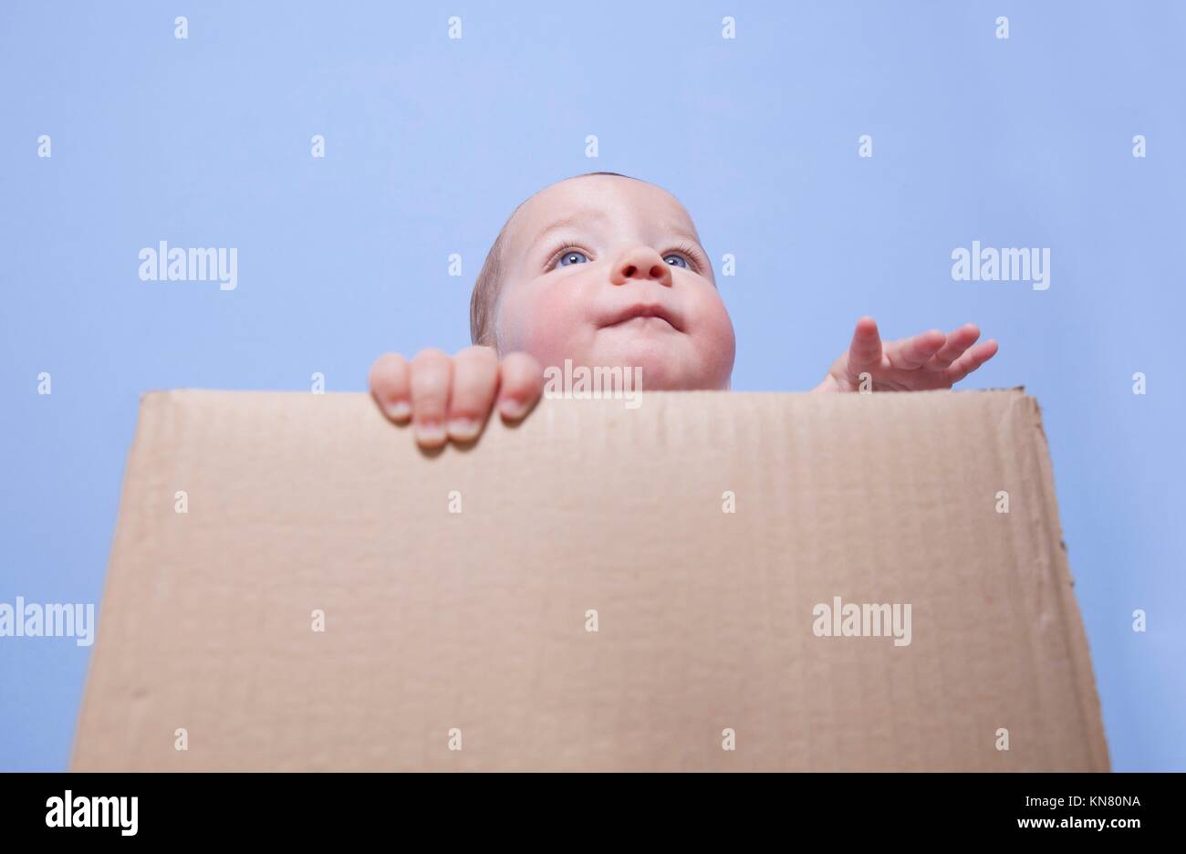 Retrato de un lindo bebé jugando en una caja de cartón marrón. Foto de stock