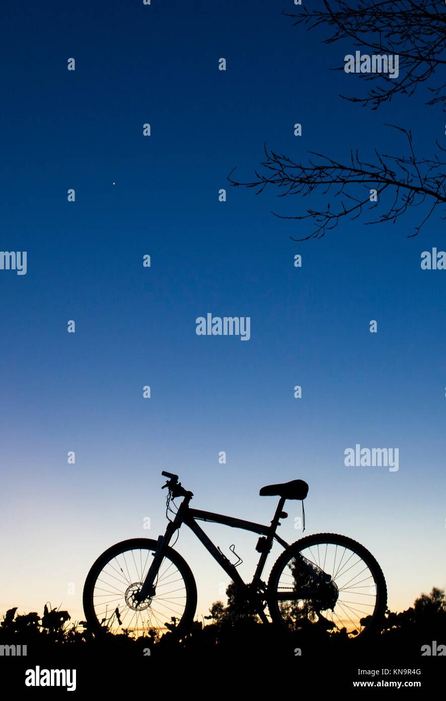 Silueta de MTB bike al atardecer bajo el árbol en el cielo azul con el planeta Venus. Foto de stock