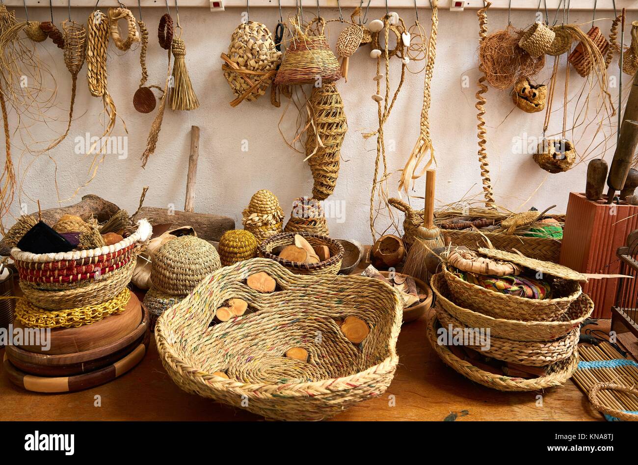 Esparto halfah césped utilizado para la artesanía, como la cestería y  cuerdas de alpargatas Fotografía de stock - Alamy