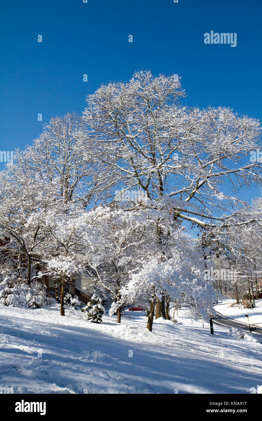 Nieve atlanta fotografías e imágenes de alta resolución Alamy
