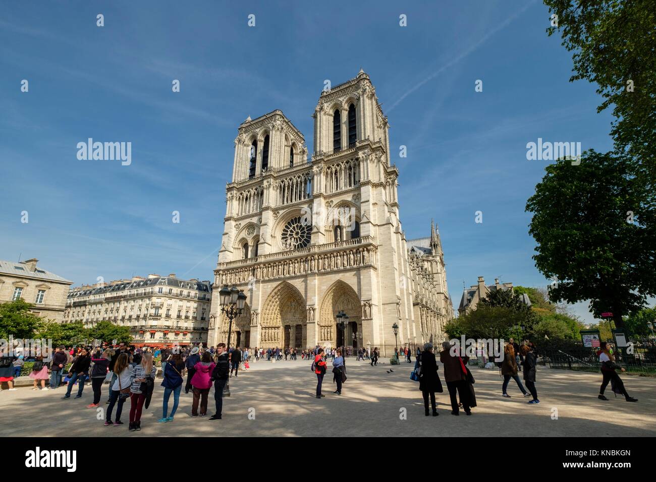 La fachada occidental, la catedral de Notre Dame, París, Francia Foto de stock
