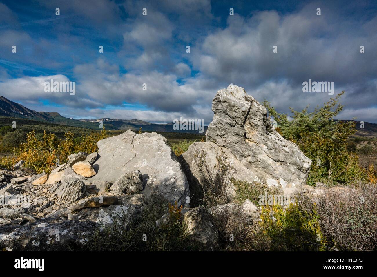 Dolmen de Pueoril - Dolmen de Puyurí-, III milenio antes de Cristo, la ruta de los megalitos del Alto Aragón, Paúles de Sarsa, provincia de Huesca. Foto de stock