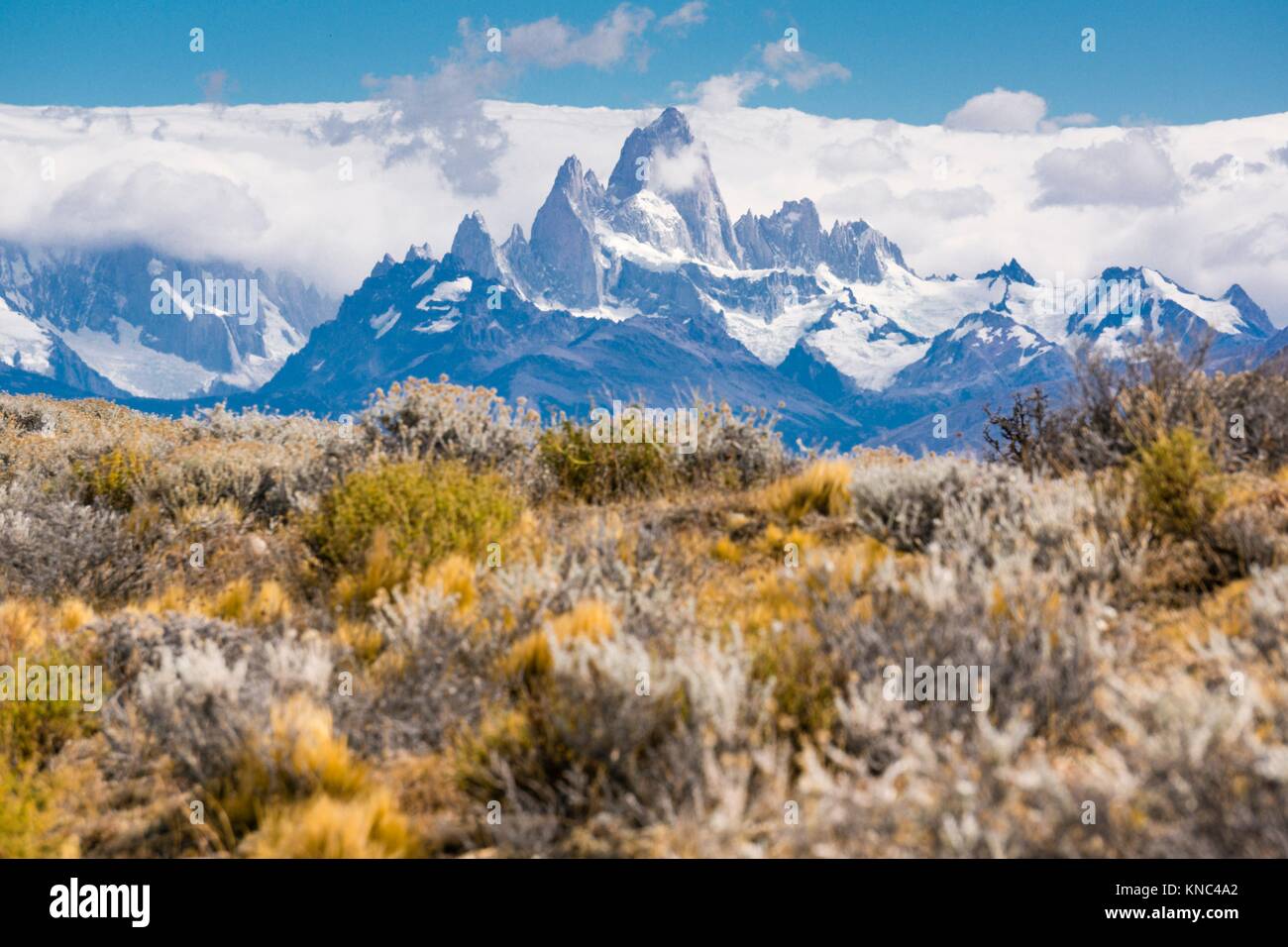 Monte Fitz Roy - cerro Chaltén -, de 3405 metros, el parque nacional Los Glaciares, Patagonia, Argentina. Foto de stock