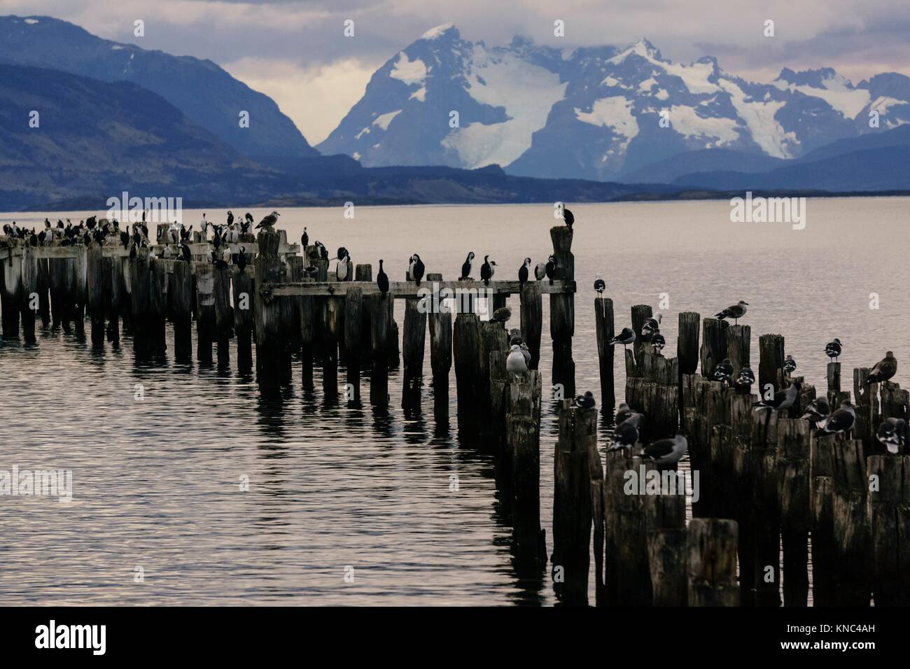 Puerto Natales, Región de Magallanes y Antártica Chilena, Patagonia,  República de Chile, Sudamérica Fotografía de stock - Alamy
