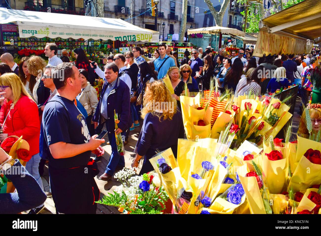 Tradicion de sant jordi fotografías e imágenes de alta resolución Alamy